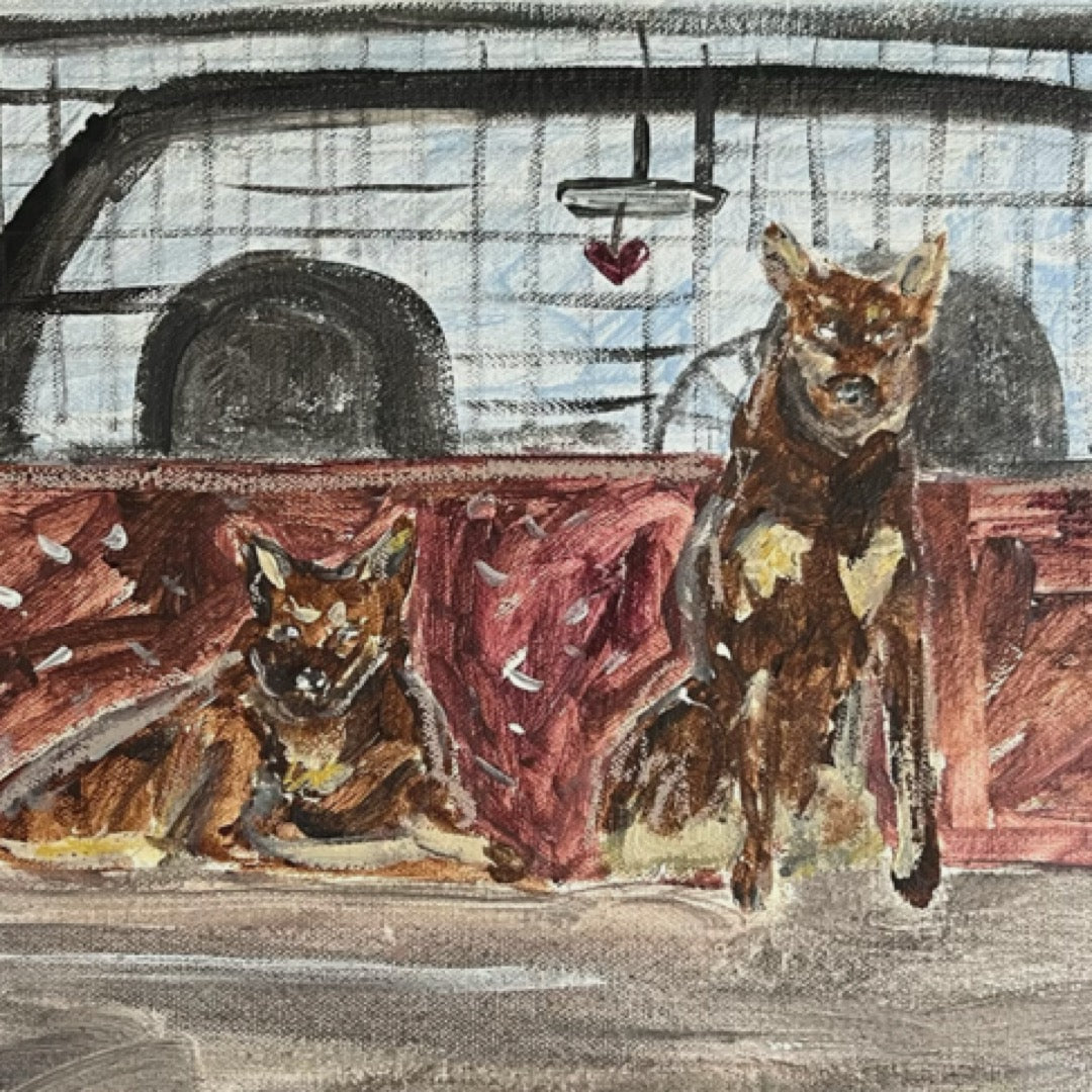 “Get on the back” 30x30 Framed in Tasmanian oak