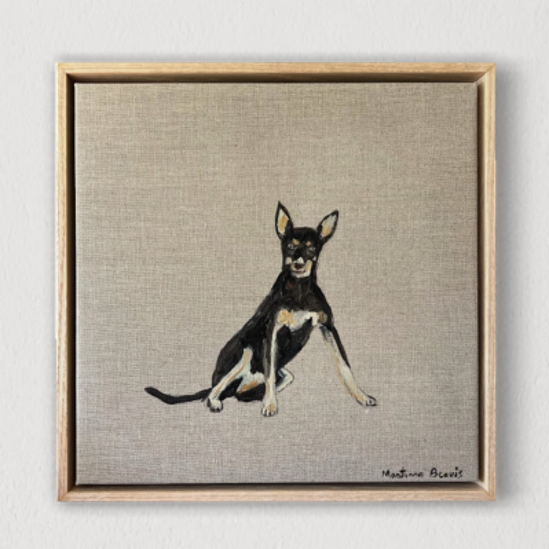 “kelpie” 30x30 Linen, Framed in Tasmanian oak