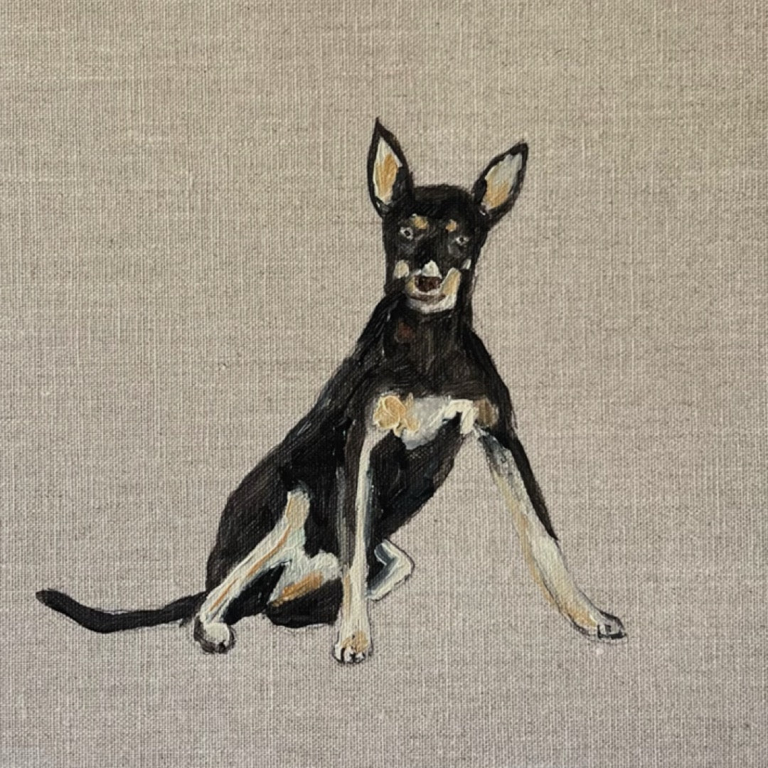 “kelpie” 30x30 Linen, Framed in Tasmanian oak