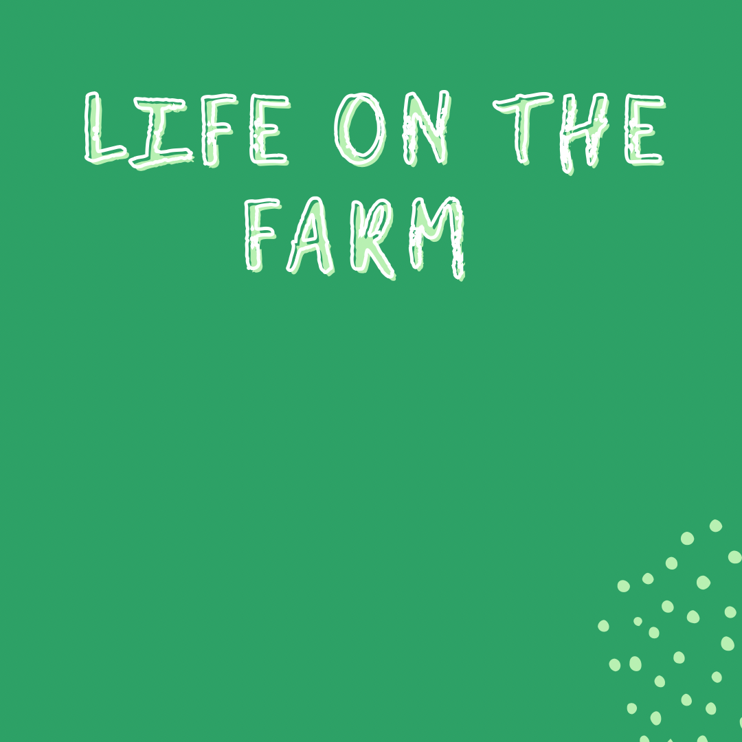 Life on the farm