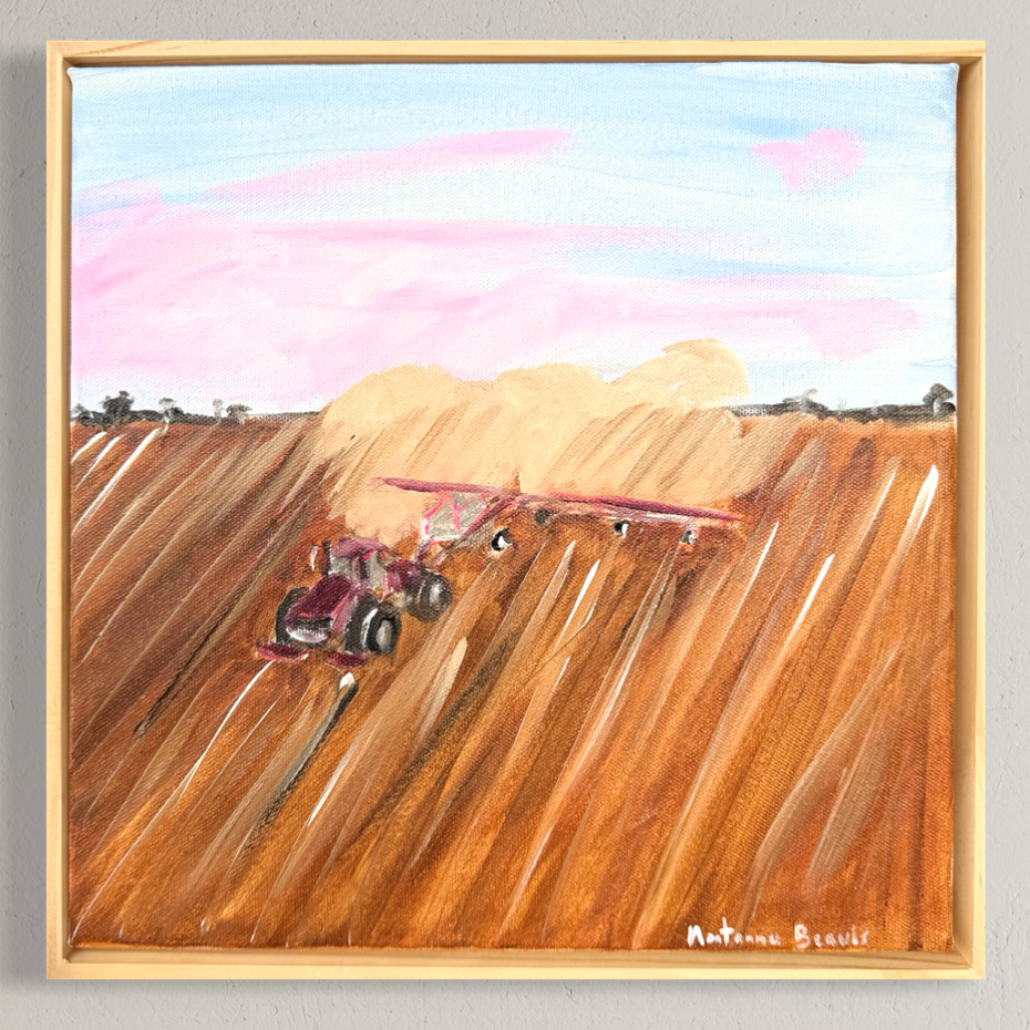 “Bit dusty” 30x30cm Framed in pine